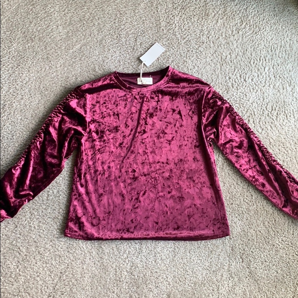 Velour Crop Top